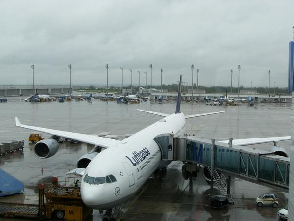 A340-600