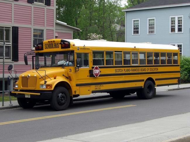 Bus