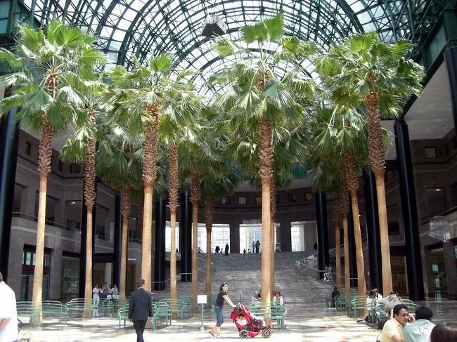 Winter Garden